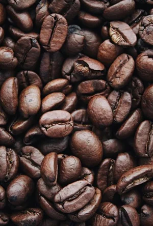 A detailed view of aromatic roasted Arabica coffee beans, highlighting texture and brown color.